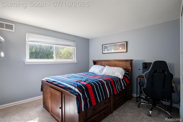 38087 Connaught Dr, Northville, MI 48335 - photo 24