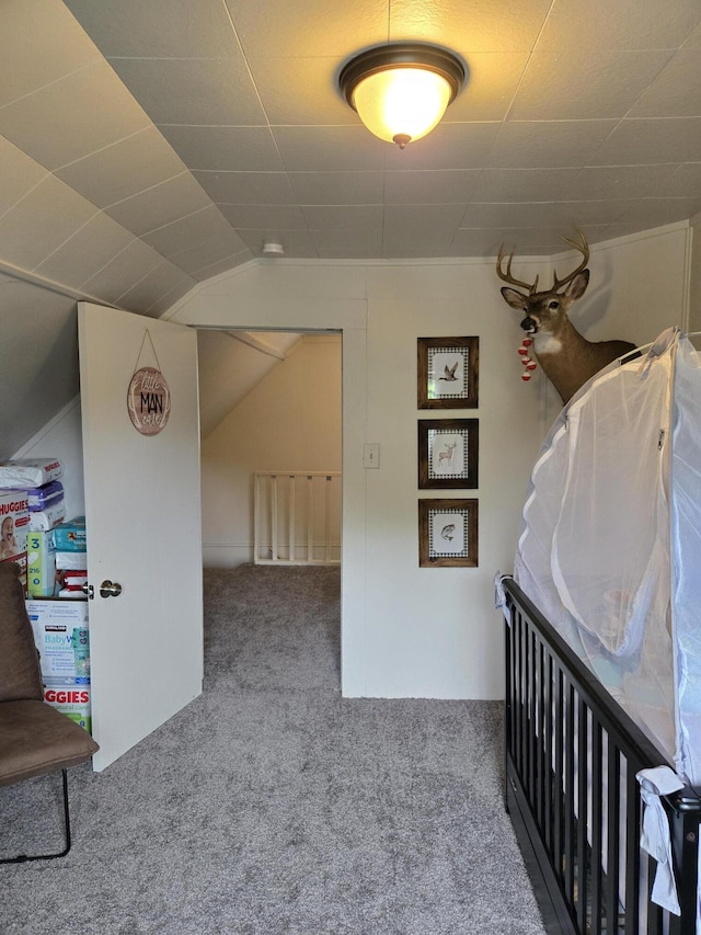 808 Wallace St, Cadillac, MI 49601 - photo 39