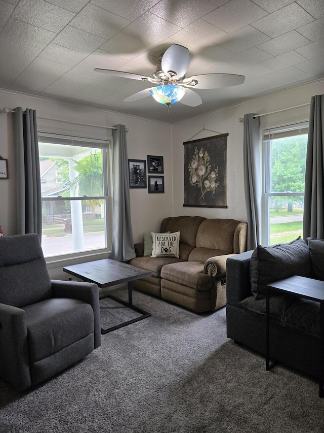 808 Wallace St, Cadillac, MI 49601 - photo 19