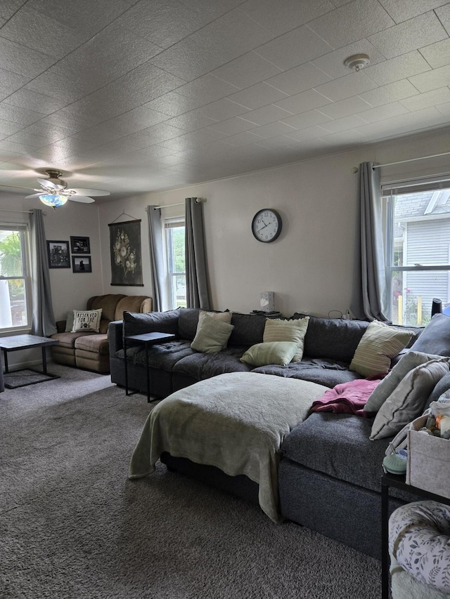 808 Wallace St, Cadillac, MI 49601 - photo 18