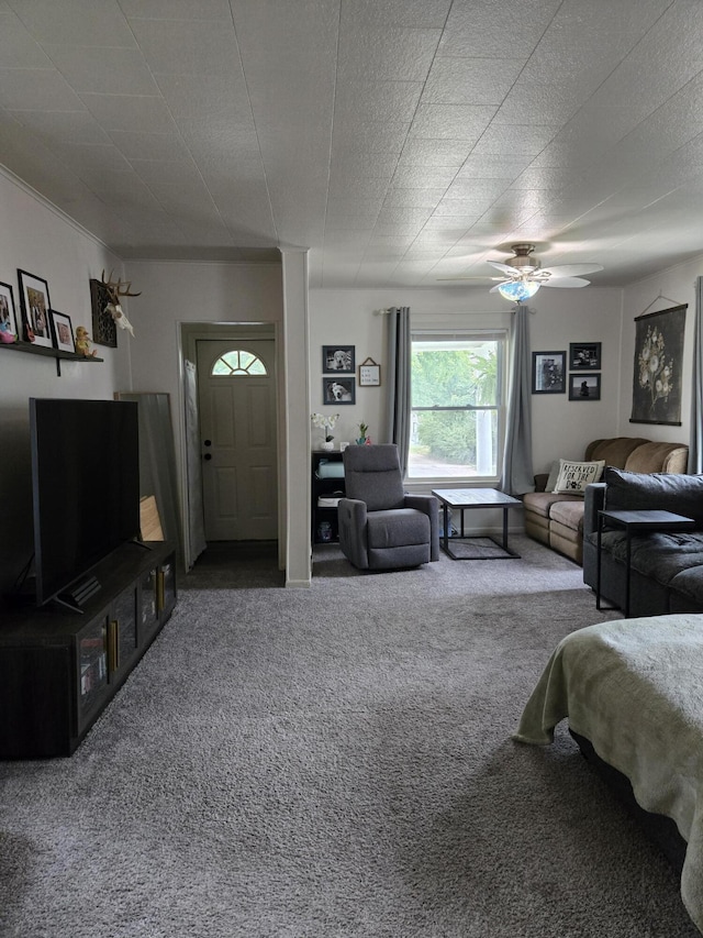 808 Wallace St, Cadillac, MI 49601 - photo 17