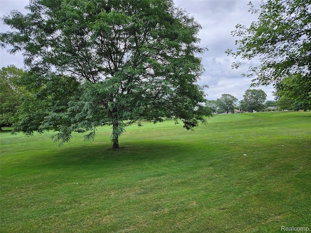37313 Clubhouse Dr, Sterling Heights, MI 48312 - photo 30
