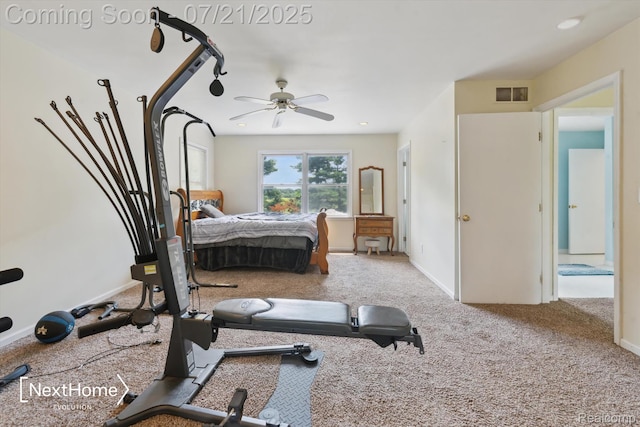 9428 Talladay Rd, Willis, MI 48191 - photo 43
