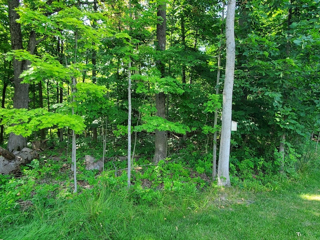 111 Depot Hill Ct, Allegan, MI 49010 - photo 5