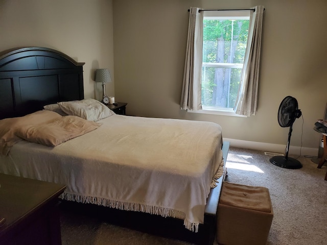 111 Depot Hill Ct, Allegan, MI 49010 - photo 13