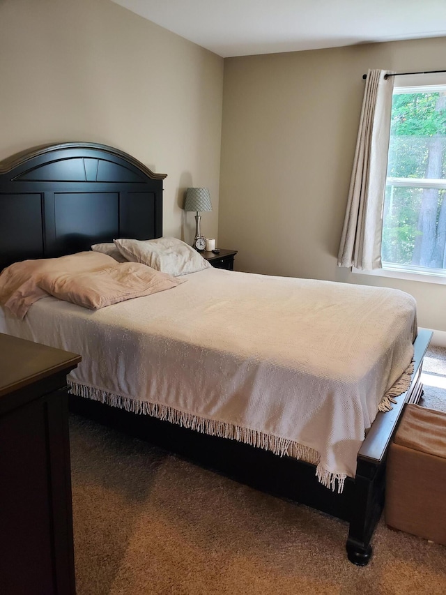 111 Depot Hill Ct, Allegan, MI 49010 - photo 14