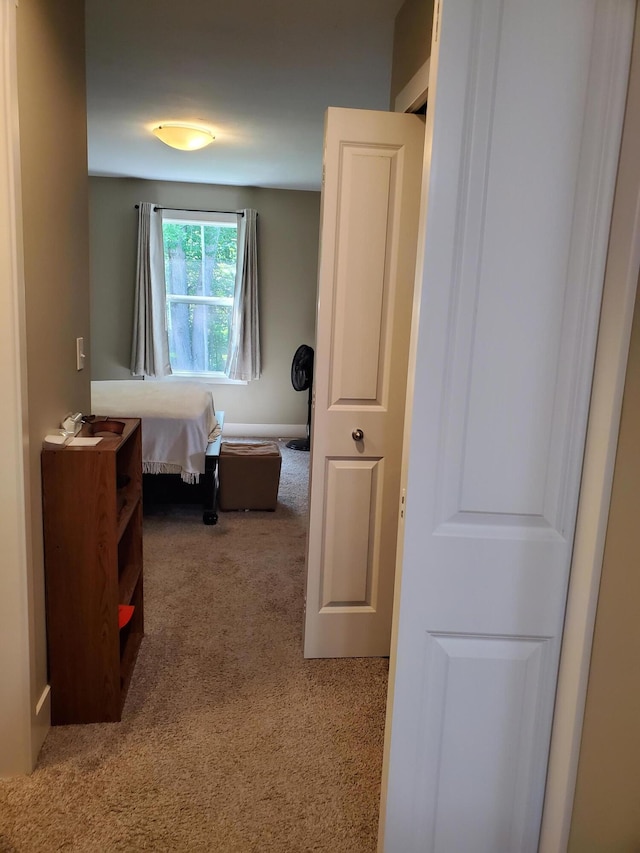 111 Depot Hill Ct, Allegan, MI 49010 - photo 17