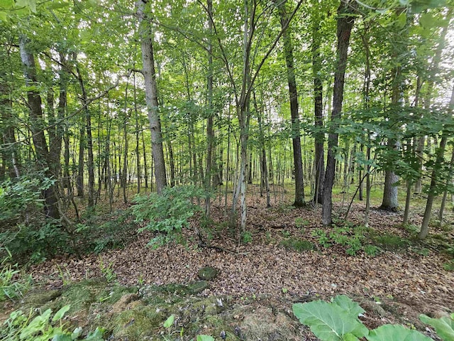 LOT6 Jose Lake Dr, South Branch, MI 48761 - photo 1