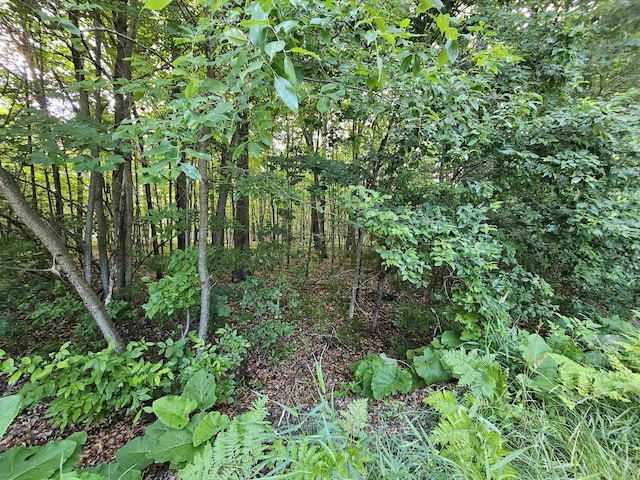 LOT6 Jose Lake Dr, South Branch, MI 48761 - photo 5