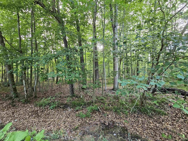 LOT6 Jose Lake Dr, South Branch, MI 48761 - photo 2