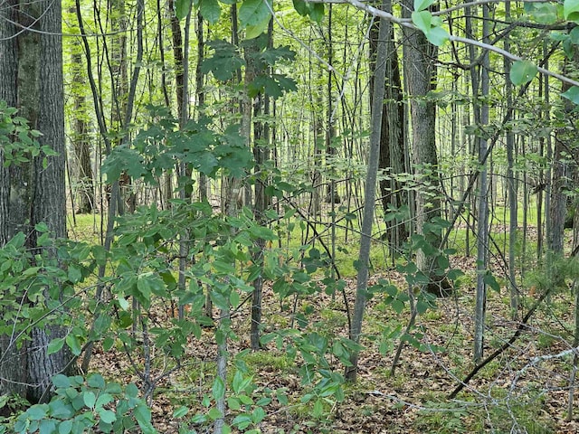 LOT6 Jose Lake Dr, South Branch, MI 48761 - photo 4