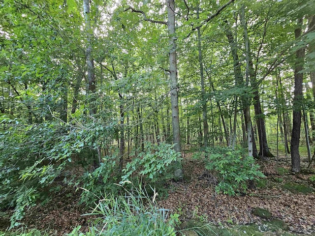 LOT6 Jose Lake Dr, South Branch, MI 48761 - photo 6