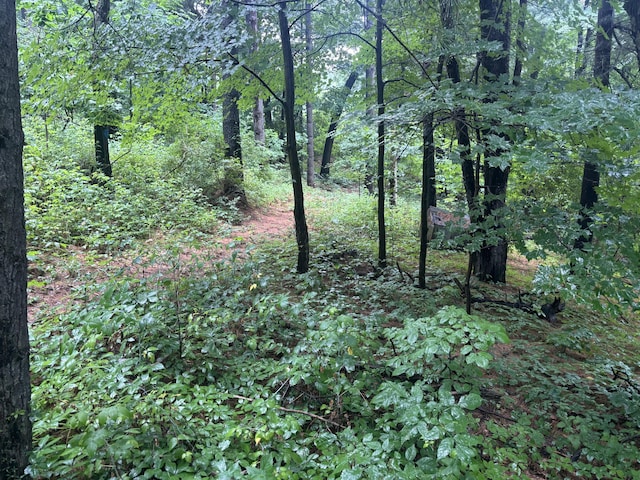 1769 W Leinaar Rd, Delton, MI 49046 - photo 9