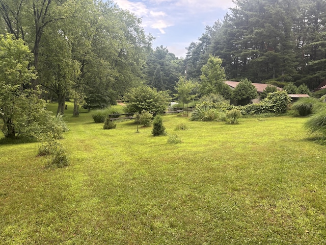 1769 W Leinaar Rd, Delton, MI 49046 - photo 7