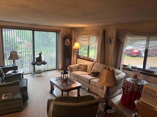 1769 W Leinaar Rd, Delton, MI 49046 - photo 14