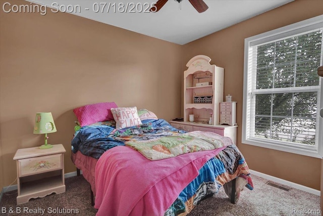 7781 Wilshire Dr, Almont, MI 48003 - photo 21