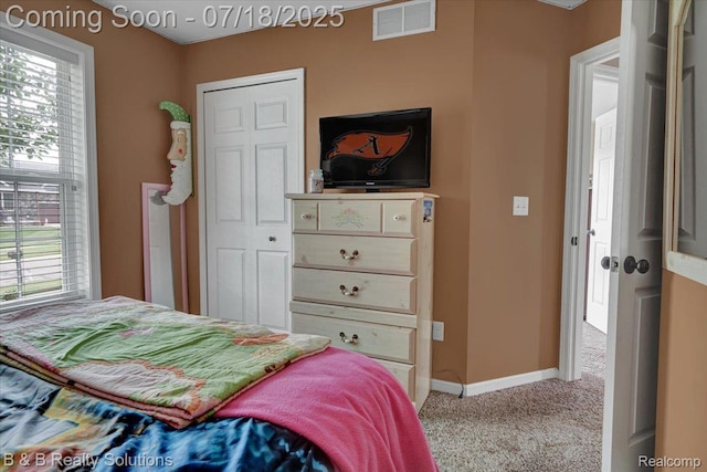 7781 Wilshire Dr, Almont, MI 48003 - photo 22