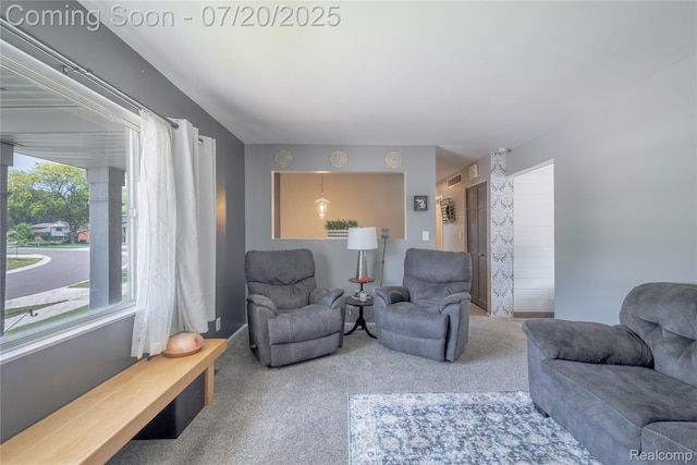 911 Worchester Dr, Fenton, MI 48430 - photo 10