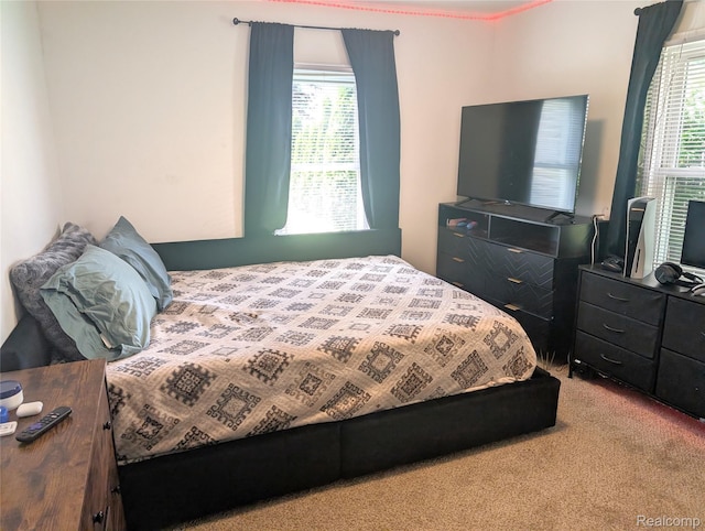 9032 Deering St, Livonia, MI 48150 - photo 10