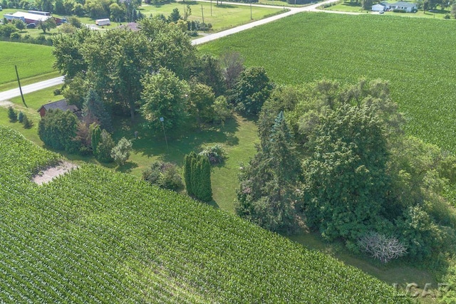 9805 Steffas Rd, Maybee, MI 48159 - photo 52
