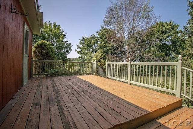 9805 Steffas Rd, Maybee, MI 48159 - photo 46