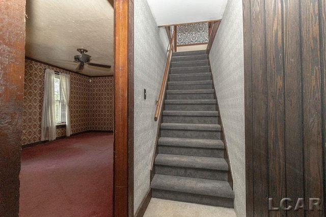 9805 Steffas Rd, Maybee, MI 48159 - photo 30