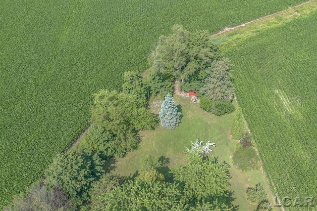 9805 Steffas Rd, Maybee, MI 48159 - photo 53