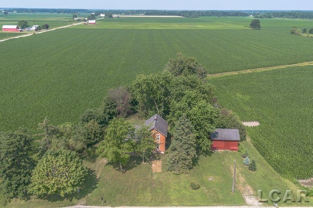 9805 Steffas Rd, Maybee, MI 48159 - photo 58
