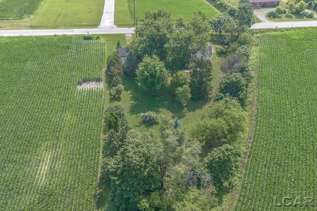 9805 Steffas Rd, Maybee, MI 48159 - photo 59