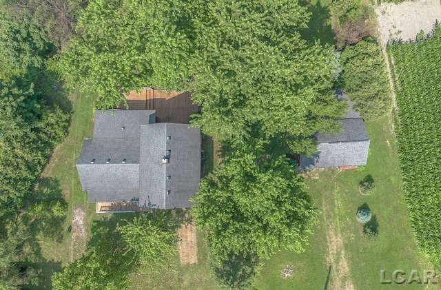9805 Steffas Rd, Maybee, MI 48159 - photo 54
