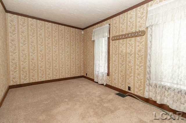 9805 Steffas Rd, Maybee, MI 48159 - photo 21