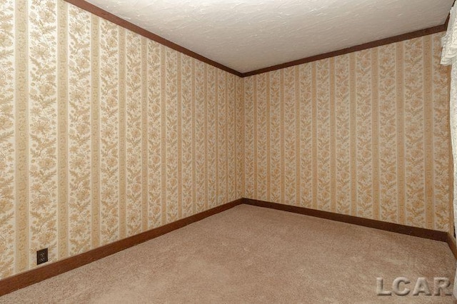 9805 Steffas Rd, Maybee, MI 48159 - photo 22
