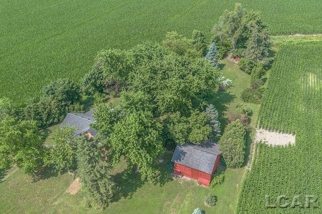 9805 Steffas Rd, Maybee, MI 48159 - photo 57