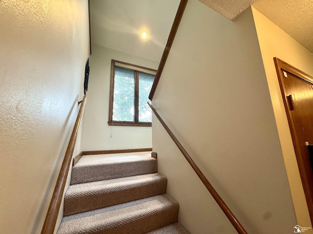 5711 Wells Rd, Petersburg, MI 49270 - photo 20