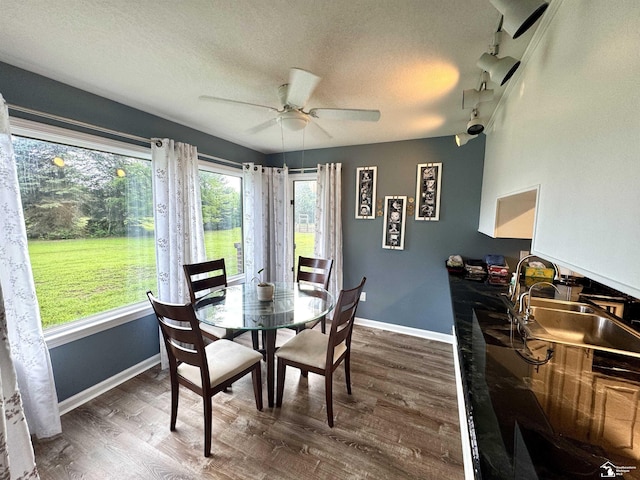 5711 Wells Rd, Petersburg, MI 49270 - photo 11