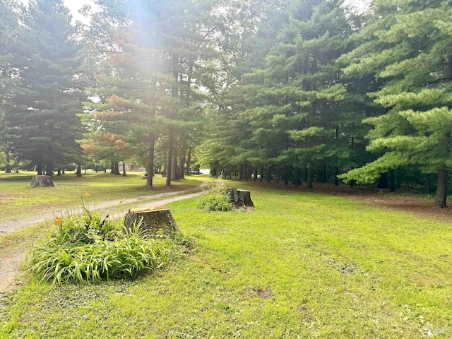 5711 Wells Rd, Petersburg, MI 49270 - photo 36