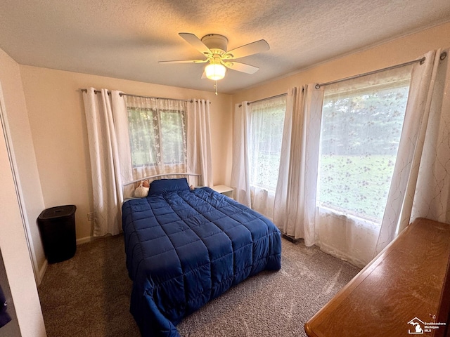 5711 Wells Rd, Petersburg, MI 49270 - photo 17
