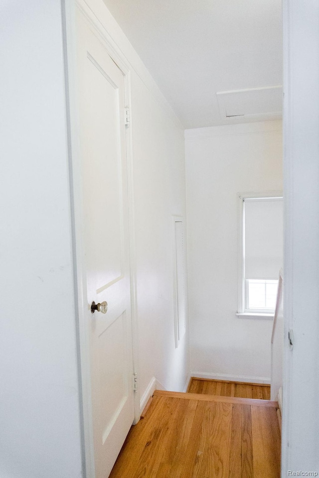 1533 13th St, Wyandotte, MI 48192 - photo 22