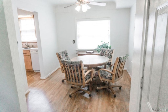 1533 13th St, Wyandotte, MI 48192 - photo 11