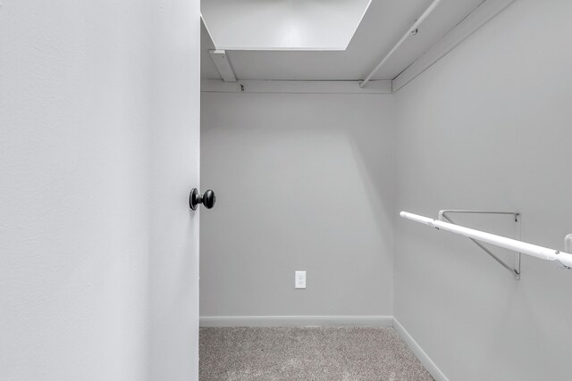 13854 Emens Dr, Hudson, MI 49247 - photo 54