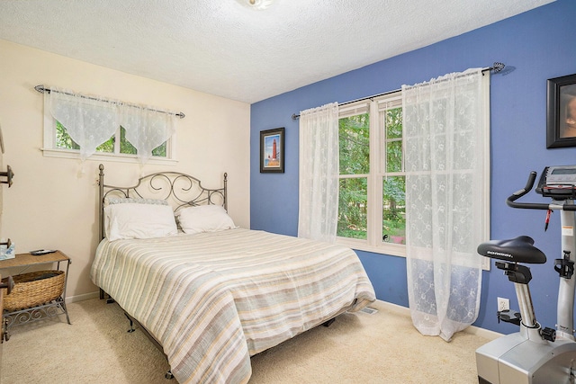 13892 148th Ave, Grand Haven, MI 49417 - photo 10