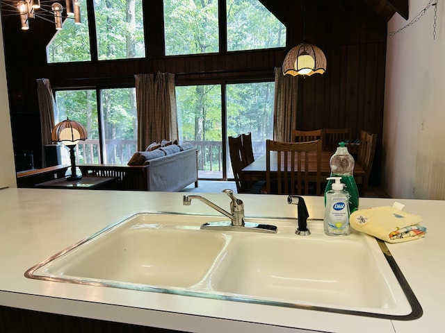 12120 Halifax, Canadian Lakes, MI 49346 - photo 6