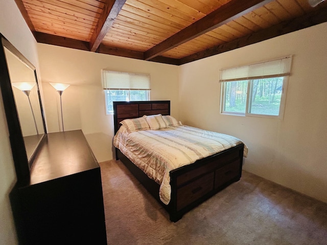 12120 Halifax, Canadian Lakes, MI 49346 - photo 9