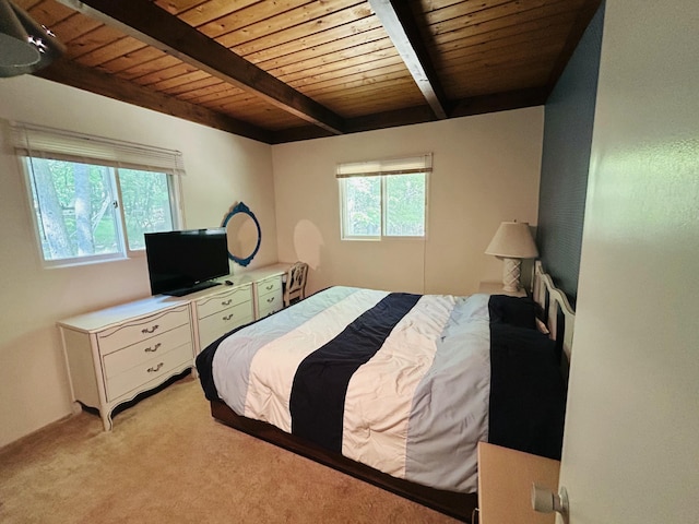 12120 Halifax, Canadian Lakes, MI 49346 - photo 12