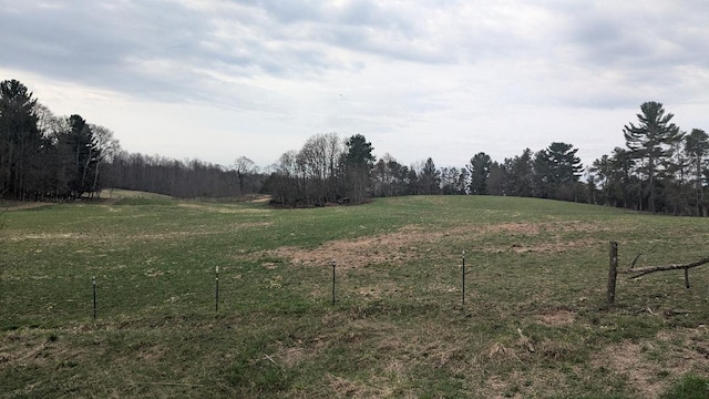 7909 11 Mile Rd, Bear Lake, MI 49614 - photo 40