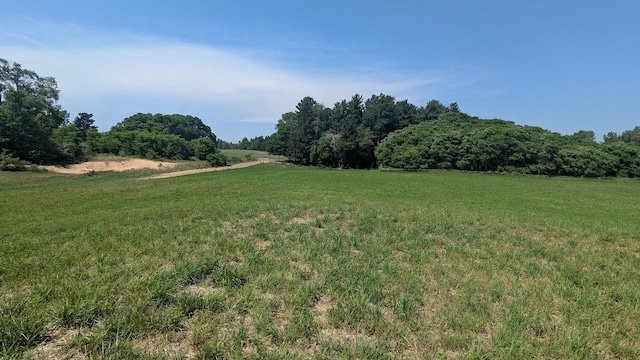 7909 11 Mile Rd, Bear Lake, MI 49614 - photo 53