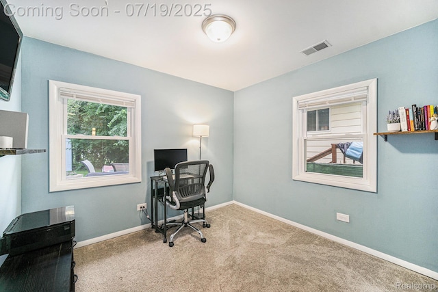 3290 Orchard, Pinckney, MI 48169 - photo 10