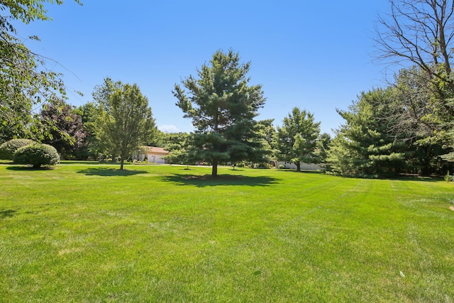 368 E Willis Rd, Saline, MI 48176 - photo 11