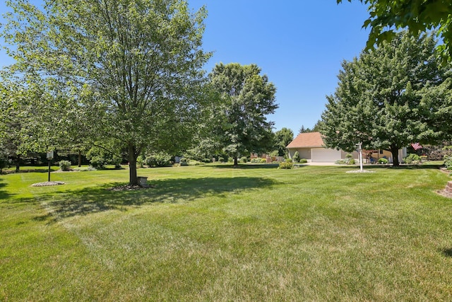 368 E Willis Rd, Saline, MI 48176 - photo 80