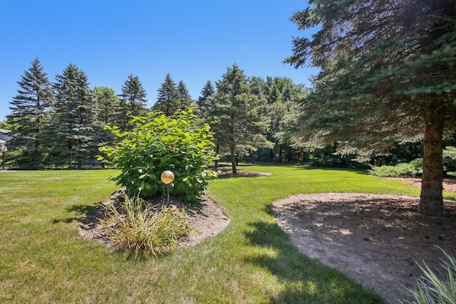 368 E Willis Rd, Saline, MI 48176 - photo 82